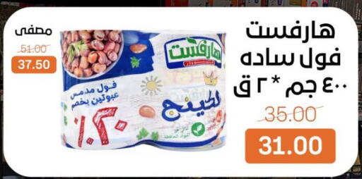 available at بيت الجملة in Egypt - القاهرة