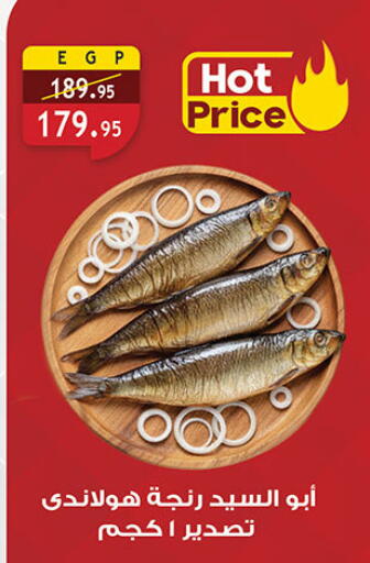 available at الرايه  ماركت in Egypt - القاهرة