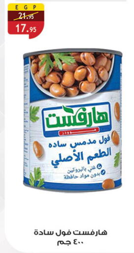 available at Al Rayah Market   in Egypt - Cairo
