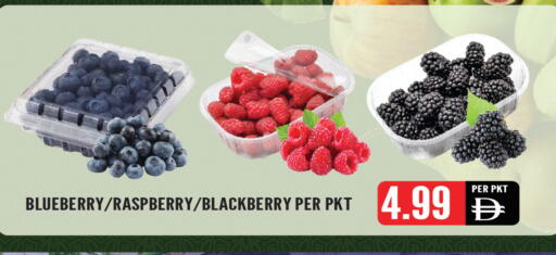 Blueberry BlueBerry Raspberry Blackberry available at Dream Land in UAE - Sharjah / Ajman