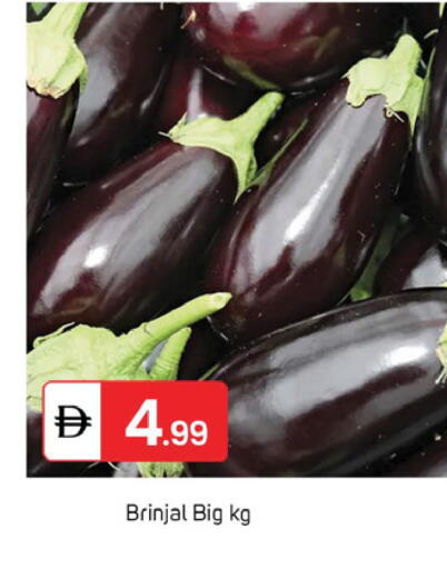 available at TALAL MARKET in UAE - Dubai