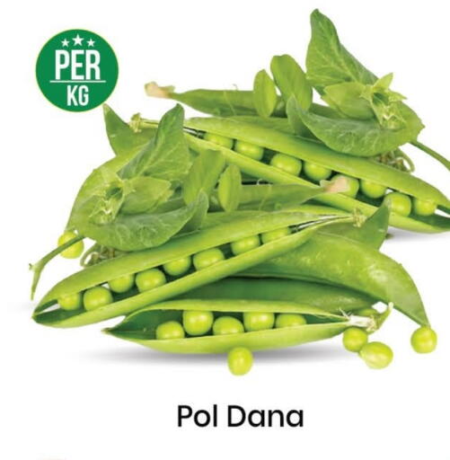 available at مارك & سيف in الإمارات العربية المتحدة , الامارات - الشارقة / عجمان