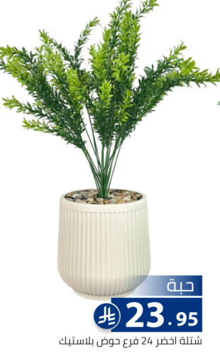 available at Family Discount in KSA, Saudi Arabia, Saudi - Riyadh