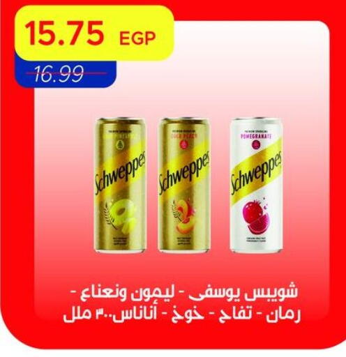 Pomegranate available at مترو ماركت in Egypt - القاهرة