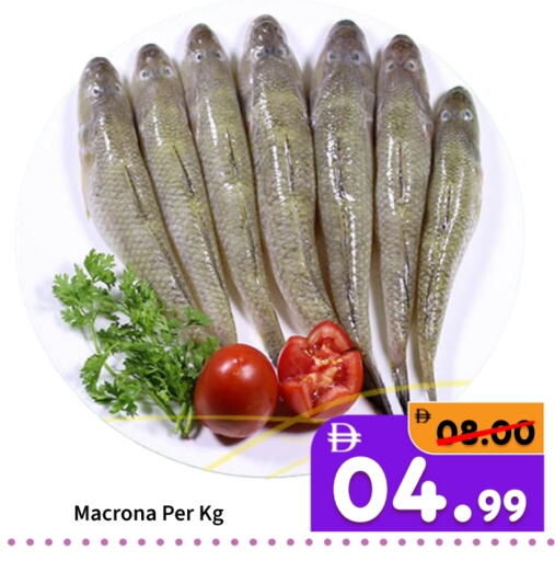 available at رويال جلف هايبرماركت in الإمارات العربية المتحدة , الامارات - أبو ظبي