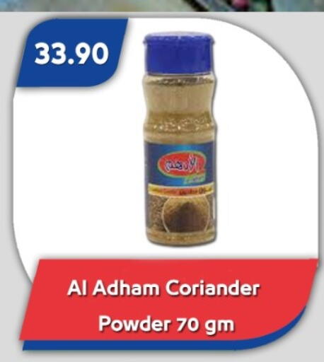 Coriander available at باسم ماركت in Egypt - القاهرة