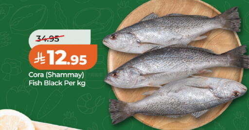 available at LULU Hypermarket in KSA, Saudi Arabia, Saudi - Al Khobar