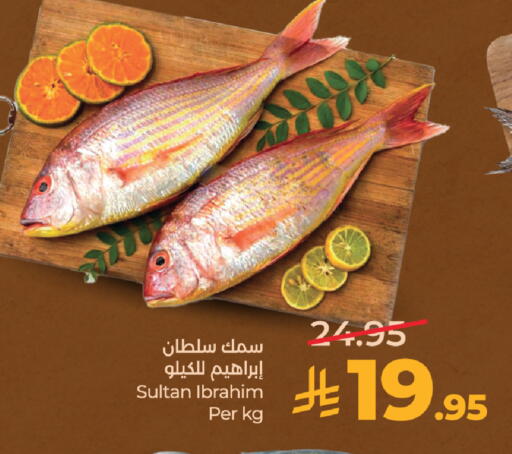 available at LULU Hypermarket in KSA, Saudi Arabia, Saudi - Tabuk