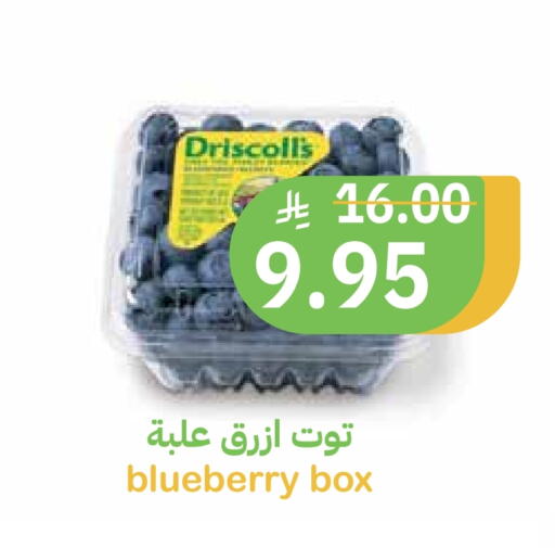 Blueberry BlueBerry available at أسواق قاطبة in مملكة العربية السعودية, السعودية, سعودية - بريدة