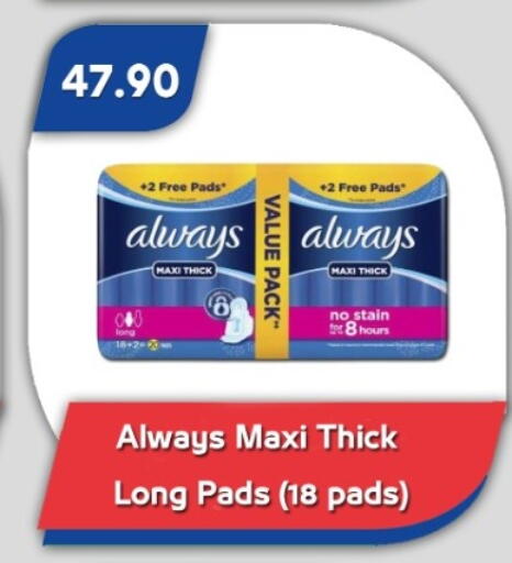 available at باسم ماركت in Egypt - القاهرة