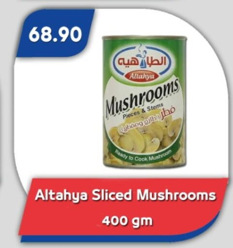 Mushroom available at Bassem Market in Egypt - Cairo