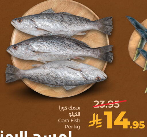 available at LULU Hypermarket in KSA, Saudi Arabia, Saudi - Tabuk