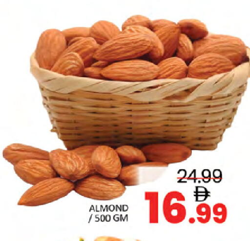 available at المدينة in الإمارات العربية المتحدة , الامارات - دبي