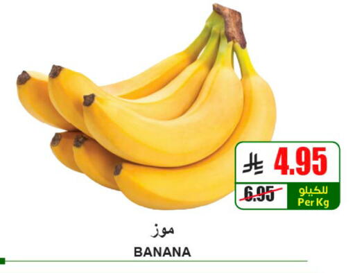 Banana available at A Market in KSA, Saudi Arabia, Saudi - Riyadh