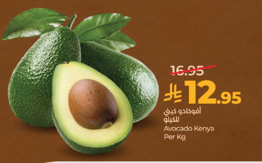Avocado from Kenya available at لولو هايبرماركت in مملكة العربية السعودية, السعودية, سعودية - تبوك