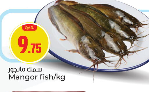 available at باريس هايبرماركت in قطر - الدوحة