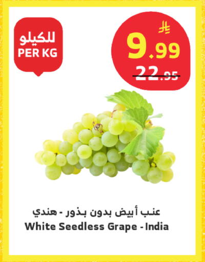 from India available at الراية in مملكة العربية السعودية, السعودية, سعودية - تبوك