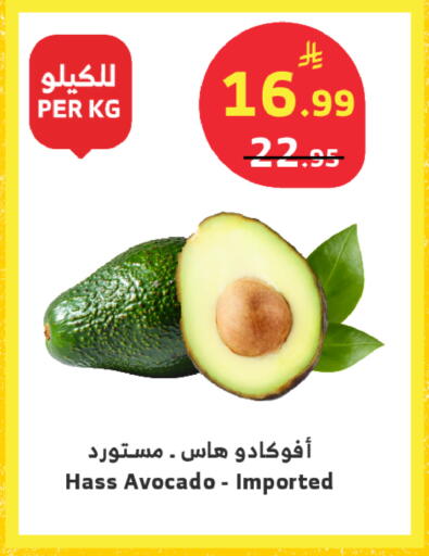 Avocado available at الراية in مملكة العربية السعودية, السعودية, سعودية - تبوك