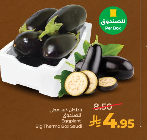 Eggplant from Saudi Arabia available at LULU Hypermarket in KSA, Saudi Arabia, Saudi - Al-Kharj