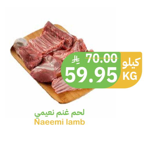 available at أسواق قاطبة in مملكة العربية السعودية, السعودية, سعودية - بريدة