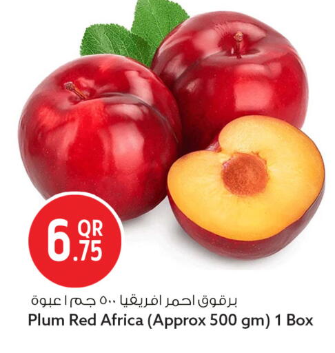 Plum available at سفاري هايبر ماركت in قطر - أم صلال