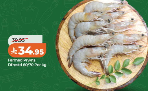 available at LULU Hypermarket in KSA, Saudi Arabia, Saudi - Al Khobar