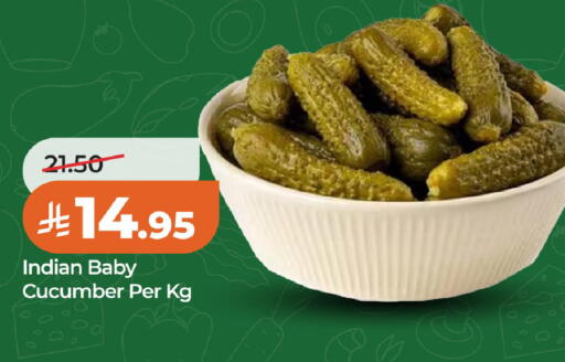 Cucumber available at LULU Hypermarket in KSA, Saudi Arabia, Saudi - Al Khobar