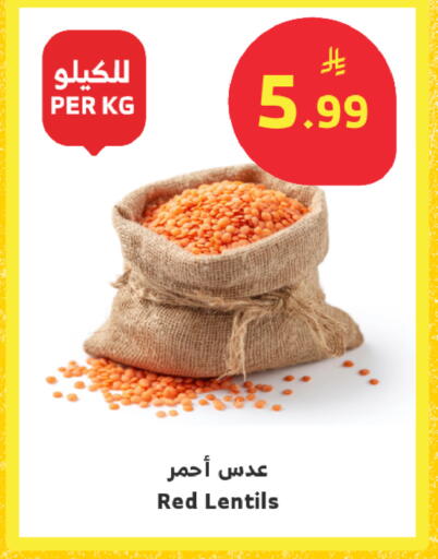 available at Al Raya in KSA, Saudi Arabia, Saudi - Jeddah