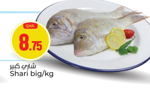 available at باريس هايبرماركت in قطر - الدوحة