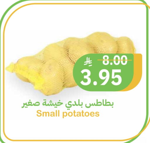 available at أسواق قاطبة in مملكة العربية السعودية, السعودية, سعودية - بريدة