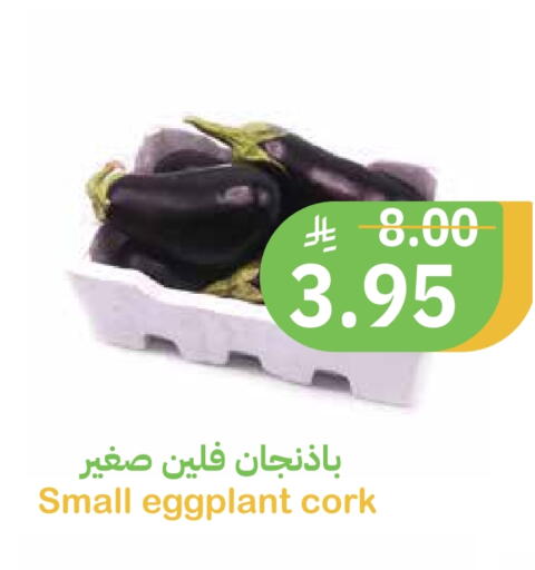 Eggplant available at أسواق قاطبة in مملكة العربية السعودية, السعودية, سعودية - بريدة