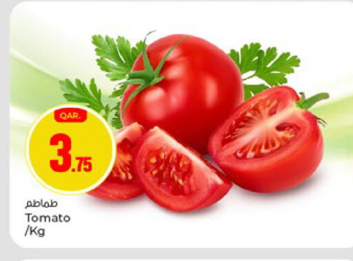 Tomato available at باريس هايبرماركت in قطر - أم صلال