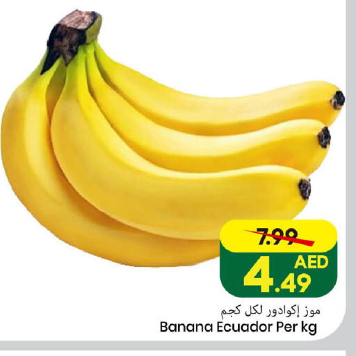 Banana from Ecuador available at مارك & سيف in الإمارات العربية المتحدة , الامارات - الشارقة / عجمان