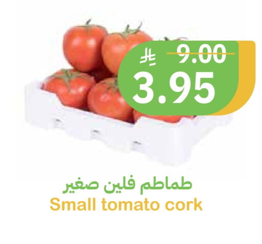 Tomato available at أسواق قاطبة in مملكة العربية السعودية, السعودية, سعودية - بريدة