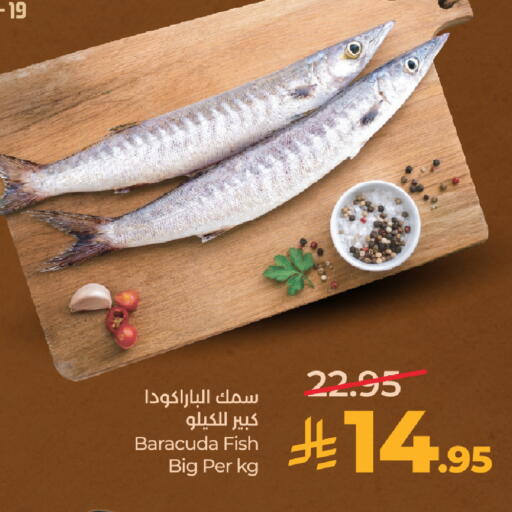 available at LULU Hypermarket in KSA, Saudi Arabia, Saudi - Tabuk