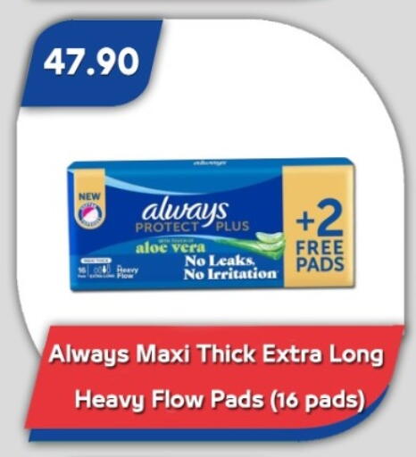 available at باسم ماركت in Egypt - القاهرة