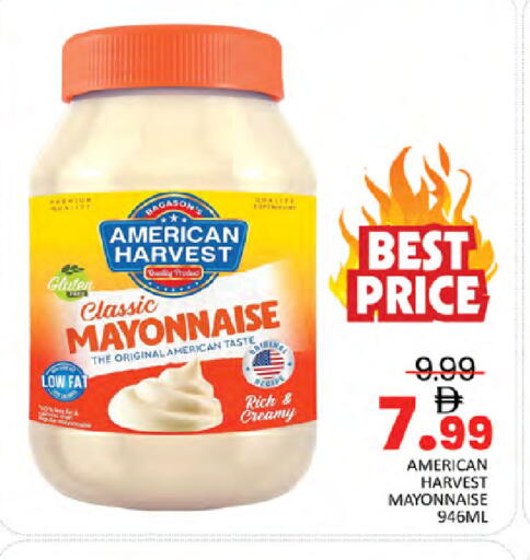 available at المدينة in الإمارات العربية المتحدة , الامارات - دبي