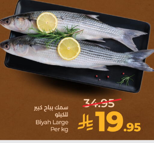 available at LULU Hypermarket in KSA, Saudi Arabia, Saudi - Tabuk