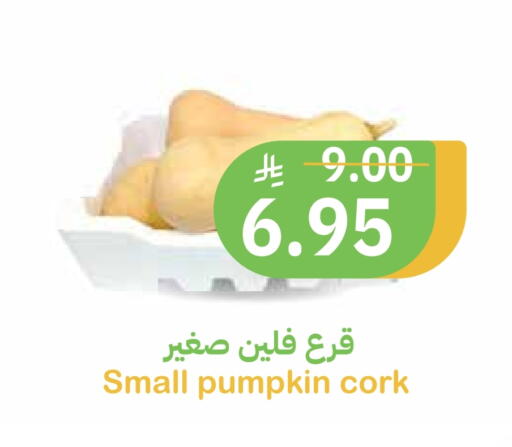 Pumpkin available at أسواق قاطبة in مملكة العربية السعودية, السعودية, سعودية - بريدة