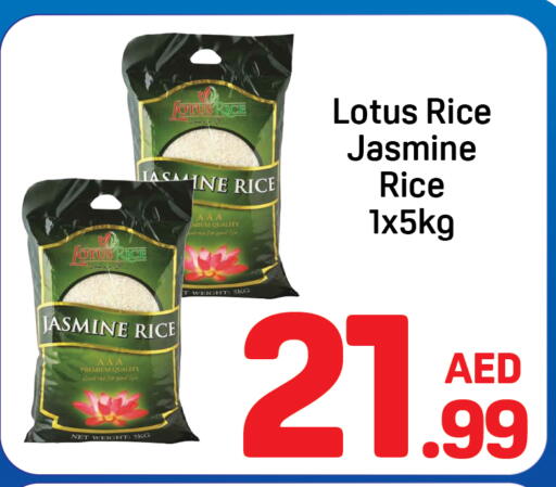 available at دي تو دي in الإمارات العربية المتحدة , الامارات - دبي