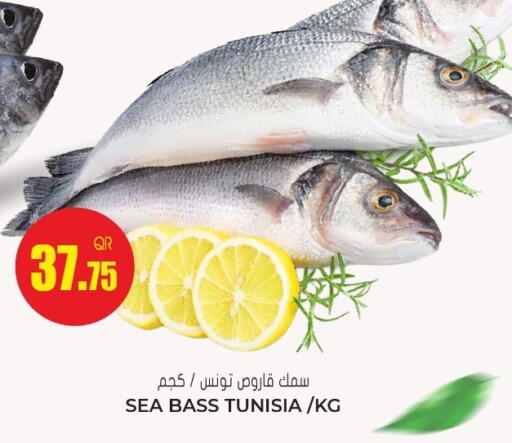 available at جراند هايبرماركت in قطر - الدوحة