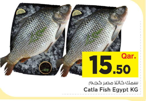 available at مارك & سيف in قطر - الوكرة