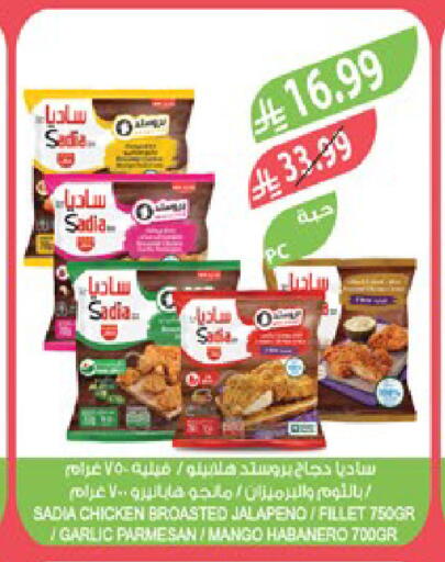 Mango Garlic available at Farm  in KSA, Saudi Arabia, Saudi - Jeddah