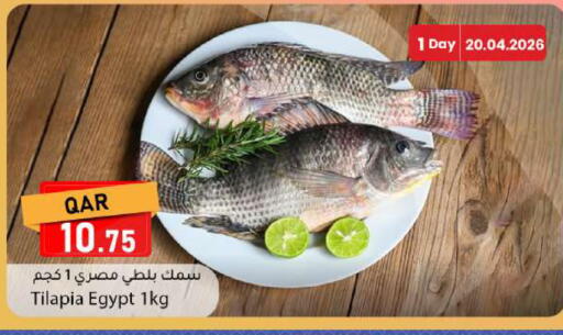 available at Dana Market in Qatar - Al Daayen