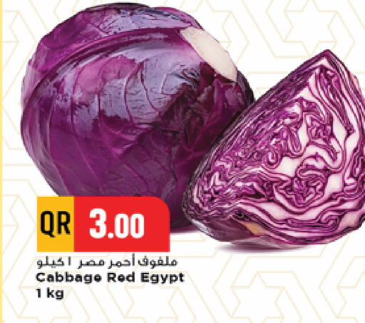 Cabbage from Egypt available at Marza Hypermarket in Qatar - Al Khor