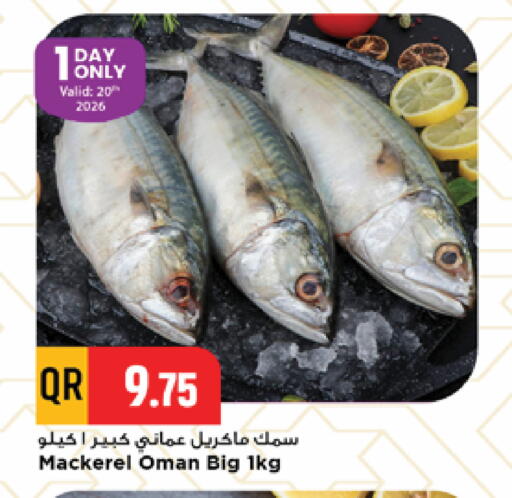 available at مرزا هايبرماركت in قطر - الدوحة