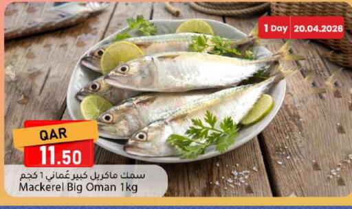 available at Dana Market in Qatar - Al Daayen