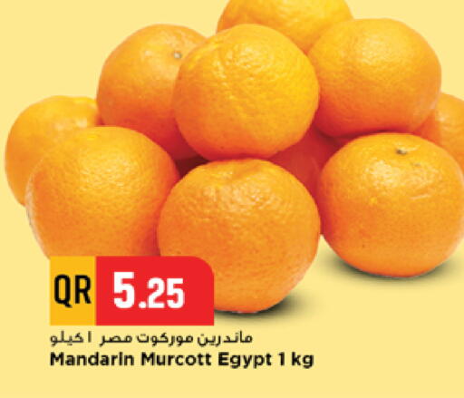 Mandarin from Egypt available at مرزا هايبرماركت in قطر - الشحانية
