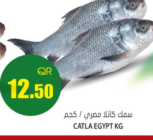available at Grand Hypermarket in Qatar - Al Daayen