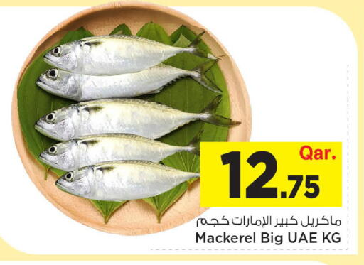 available at مارك & سيف in قطر - الوكرة